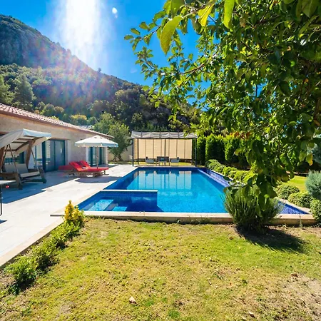 Eco Toprak Kalkan
